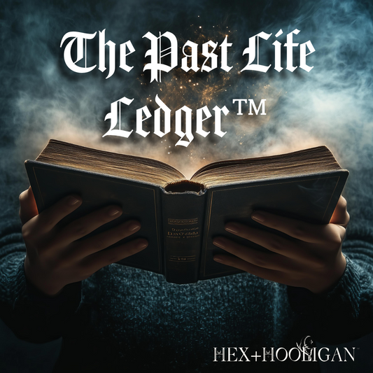 📜 The Past Life Ledger™